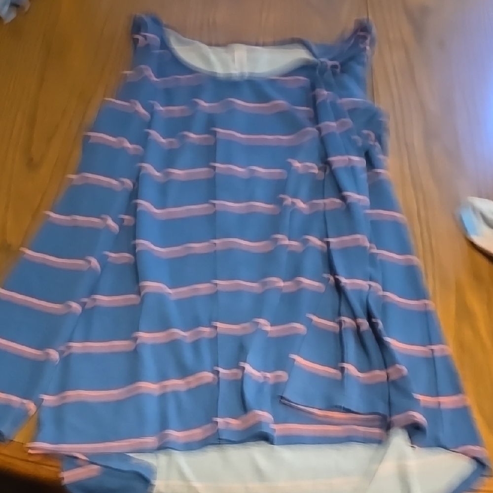 Blue and Pink Striped Tank Top